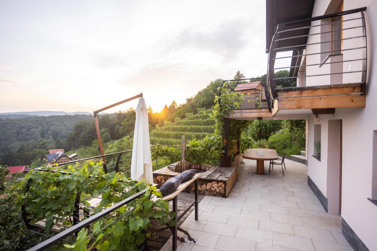 Vineyard Cottage Sonce Sentvid Pri Sticni Εξωτερικό φωτογραφία