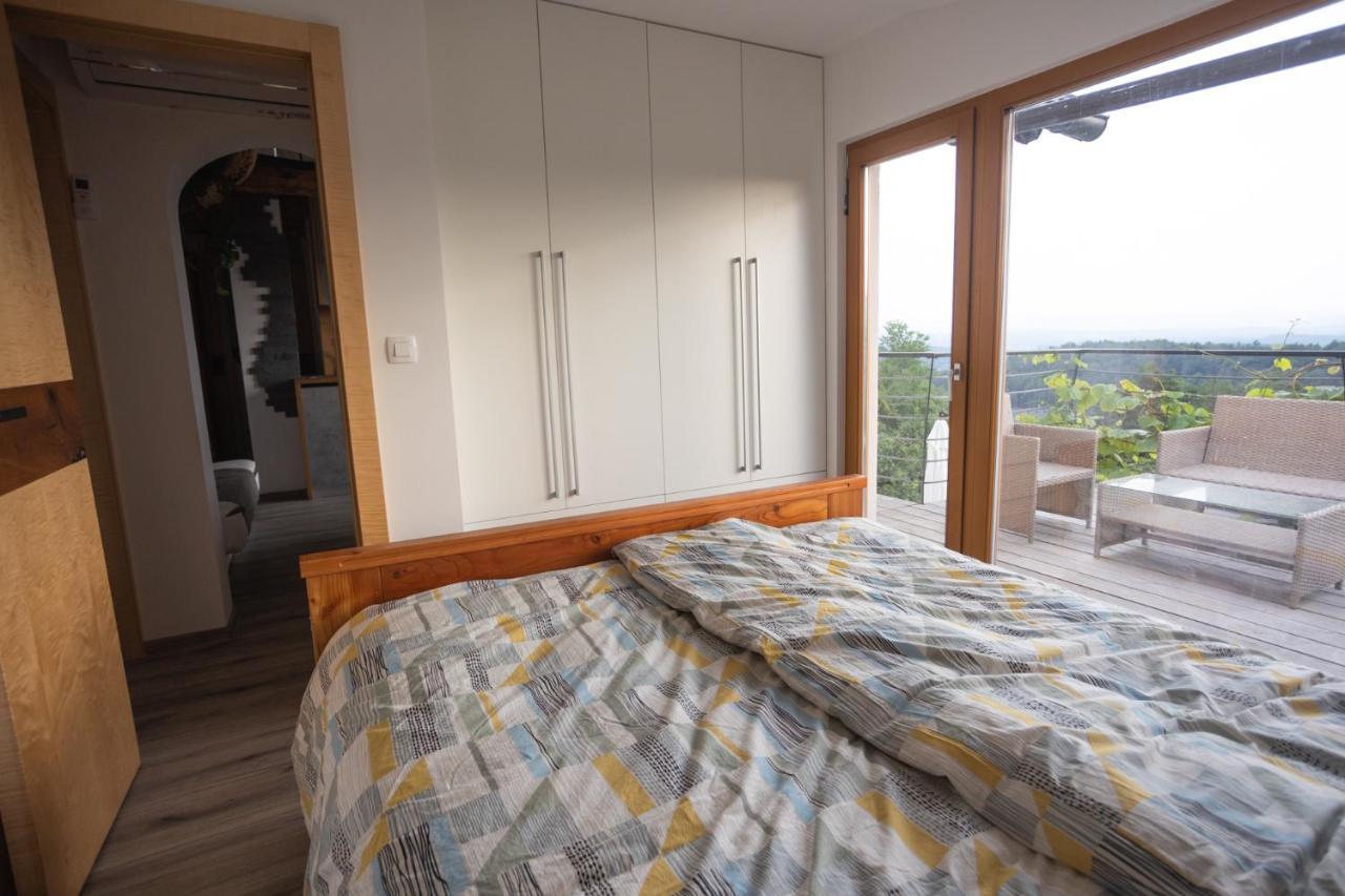 Vineyard Cottage Sonce Sentvid Pri Sticni Εξωτερικό φωτογραφία